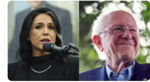 Bernie sanders senator and Tulsi Gabbard director of national intelligence